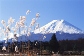 Etna1.jpg (24638 byte)