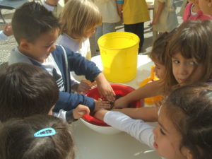 vendemmia1